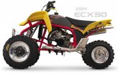 2010 Cobra ECX50 photo